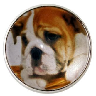 Fako Bijoux® - Click Button - Glas - Hond Bruin/Wit