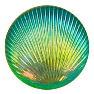 Fako Bijoux® - Click Button - Shiny Schelp - Groen