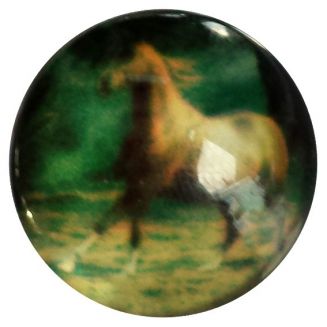 Fako Bijoux® - Click Button - Glas - Paard Bruin