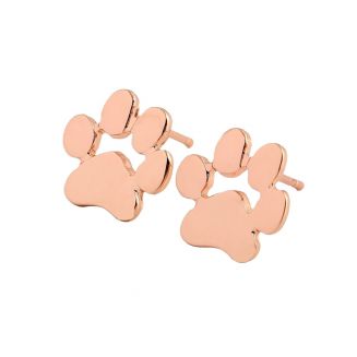 Fako Bijoux® - Oorbellen - Pootjes - Rosé Goudkleurig